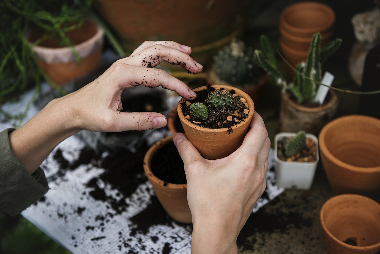 Trendy terracotta: hoe je je vensterbank kan verrijken