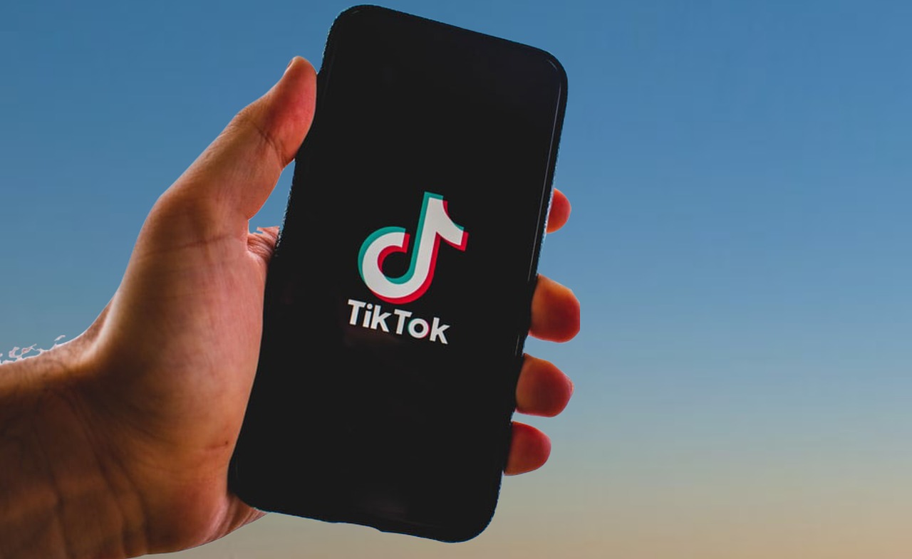 App toont energiebeheer op smartphone-display App toont energiebeheer op smartphone-display