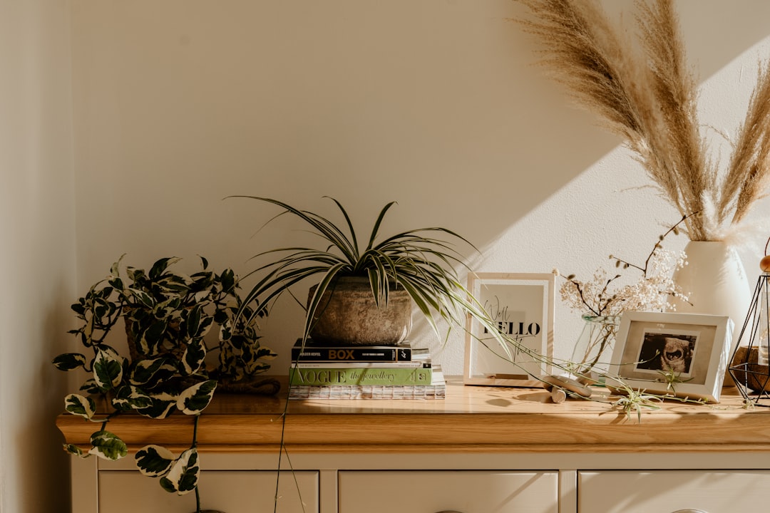 Aubergine als onverwacht statement in moderne woonkamerstyling
