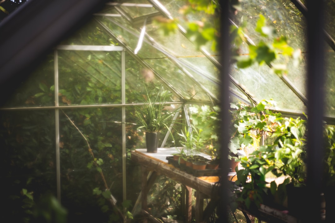 Hoe kan natuurlijke ventilatie je tuin duurzamer maken?