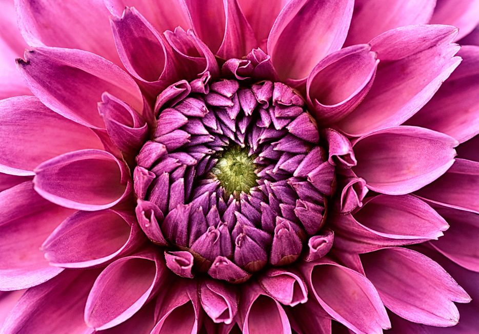 Florale muurprint verlevendigt compacte werkplek.