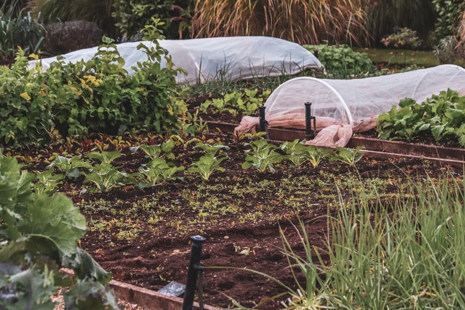 Regeneratieve tuinmethoden: toekomstbestendige technieken voor thuis